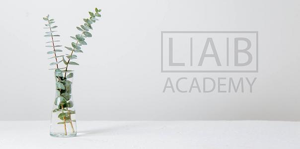 LAB Academy